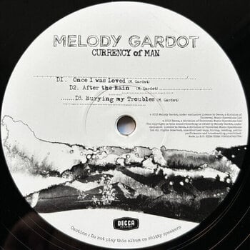 Δίσκος LP Melody Gardot - Currency Of Man (Gatefold) (2 LP) - 9