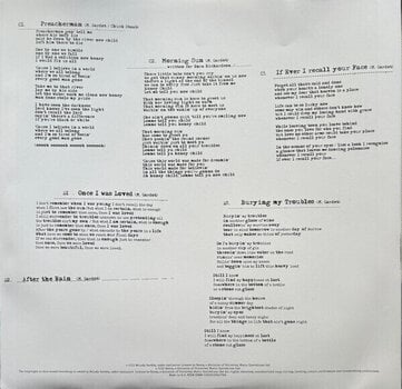 Δίσκος LP Melody Gardot - Currency Of Man (Gatefold) (2 LP) - 10