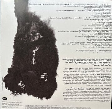 Δίσκος LP Melody Gardot - Currency Of Man (Gatefold) (2 LP) - 12
