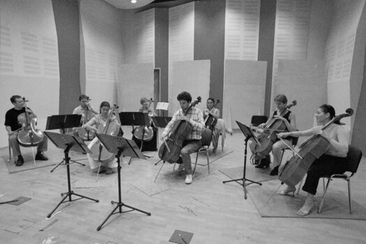 VST Instrument Vienna Symphonic Library Special Edition Vol. 1 Essential Orchestra (Digitales Produkt) - 4