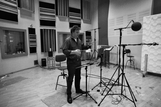 VST Instrument Vienna Symphonic Library Special Edition Vol. 1 Essential Orchestra (Digitales Produkt) - 5