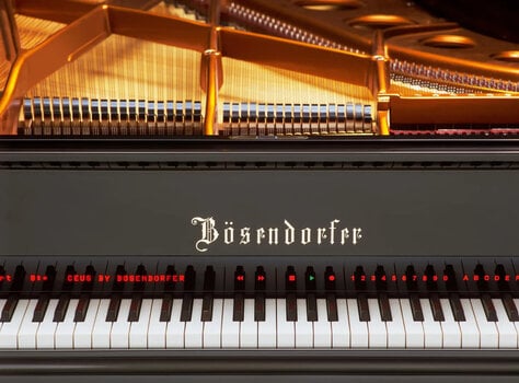 VST instrumentas Vienna Symphonic Library Studio Bösendorfer Imperial - 6