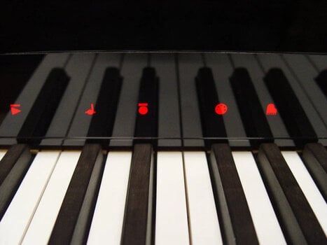 VST instrumentas Vienna Symphonic Library Studio Bösendorfer Imperial - 8