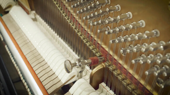 VST Instrument Vienna Symphonic Library Studio Bösendorfer Upright Standard (Produs digital) - 5