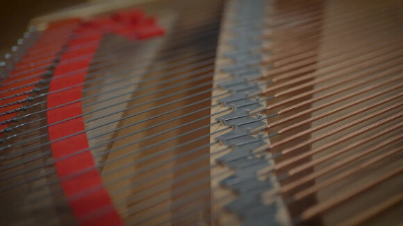 VST Instrument Vienna Symphonic Library Studio Fazioli F212 Standard (Produs digital) - 8