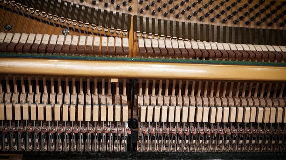 VST Instrument Vienna Symphonic Library Studio German Upright 1904 Standard (Digitalni proizvod) - 5