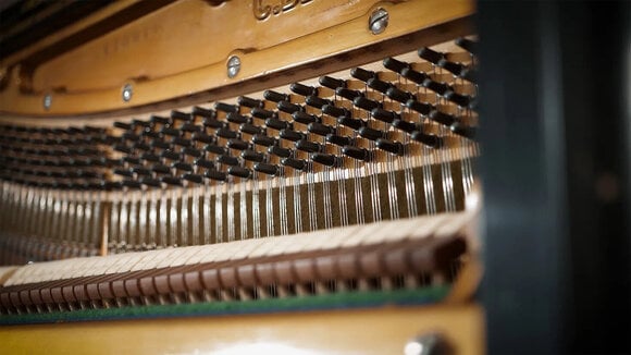 VST Instrument Vienna Symphonic Library Studio German Upright 1904 Standard (Digitalni proizvod) - 6