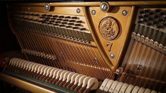 VST Instrument Vienna Symphonic Library Studio German Upright 1904 Standard (Digitalni proizvod) - 8