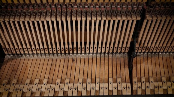 VST Instrument Vienna Symphonic Library Studio German Upright 1904 Standard (Digitalni proizvod) - 9