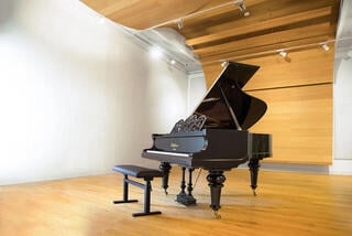 VST Instrument Vienna Symphonic Library Studio Blüthner 1895 Standard (Digital produkt) - 3