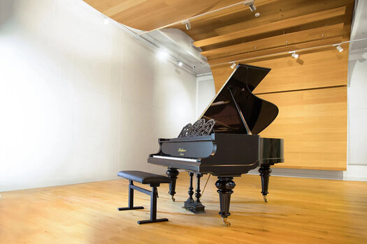 VST Instrument Vienna Symphonic Library Studio Blüthner 1895 Standard (Digitalni proizvod) - 4