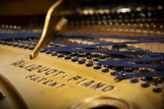 VST Instrument Vienna Symphonic Library Studio Blüthner 1895 Standard (Digital produkt) - 4