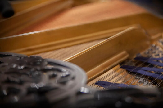 VST Instrument Vienna Symphonic Library Studio Blüthner 1895 Standard (Digitalni proizvod) - 6