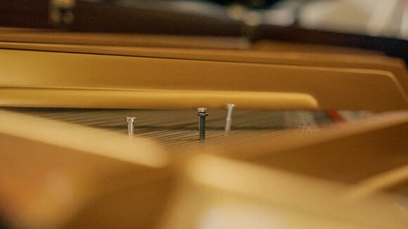 VST Instrument Vienna Symphonic Library Studio FX Piano Standard (Дигитален продукт) - 7