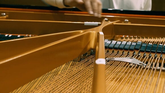 VST Instrument Vienna Symphonic Library Studio FX Piano Standard (Дигитален продукт) - 11