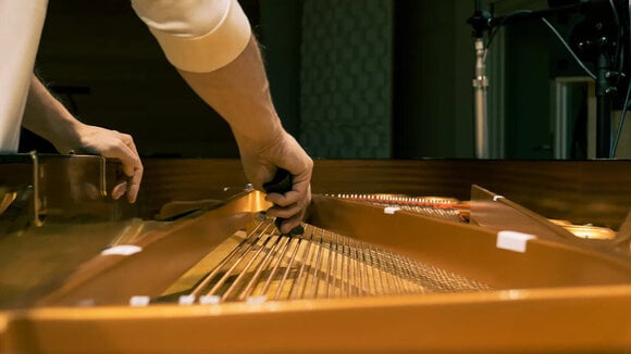 VST Instrument Vienna Symphonic Library Studio FX Piano Standard (Дигитален продукт) - 12