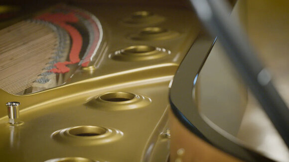 VST Instrument Vienna Symphonic Library Concert D-274 Essentials (Produkt cyfrowy) - 6