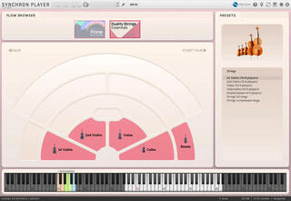 VST Instrument Vienna Symphonic Library Duality Strings Essentials (Digital produkt) - 2