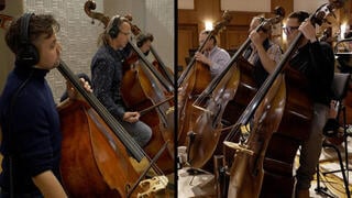 VST Instrument Vienna Symphonic Library Duality Strings Essentials (Digital produkt) - 5
