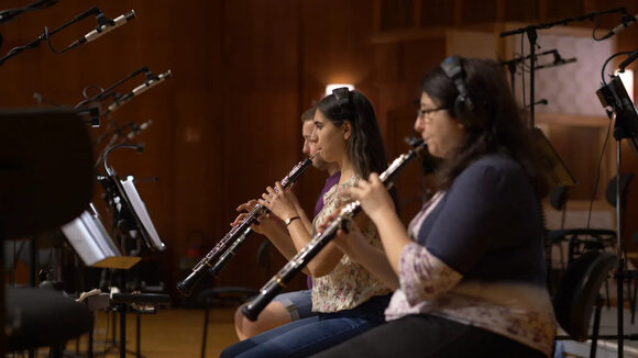 VST Instrument Vienna Symphonic Library Synchron Smart Orchestra 2.0 (Producto digital) - 12