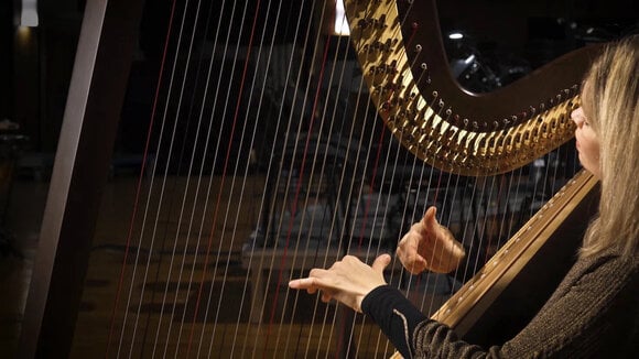 VST Instrument Vienna Symphonic Library Synchron Smart Orchestra 2.0 (Producto digital) - 14