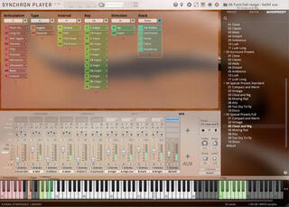 VST Instrument Vienna Symphonic Library Synchron Duality Strings Standard (Digital produkt) - 4