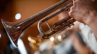 VST Instrument Vienna Symphonic Library Synchron Brass Standard (Digitaalinen tuote) - 4