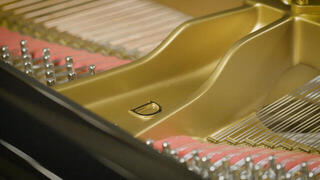 VST Instrument Vienna Symphonic Library Synchron Concert D-274 Standard (Digitalni izdelek) - 4