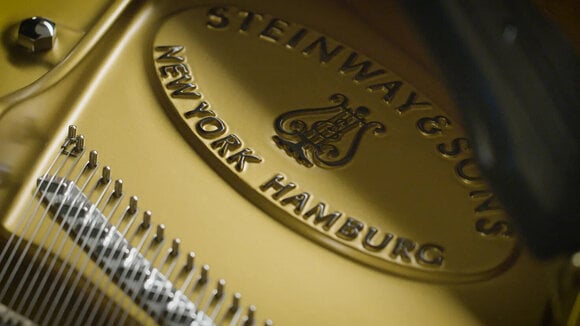 VST Instrument Vienna Symphonic Library Synchron Concert D-274 Standard (Digitális termék) - 6