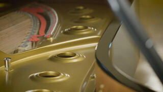 VST Instrument Vienna Symphonic Library Synchron Concert D-274 Standard (Digitalni izdelek) - 7