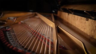 VST Instrument Vienna Symphonic Library Synchron Fazioli F308 Standard (Digitální produkt) - 6