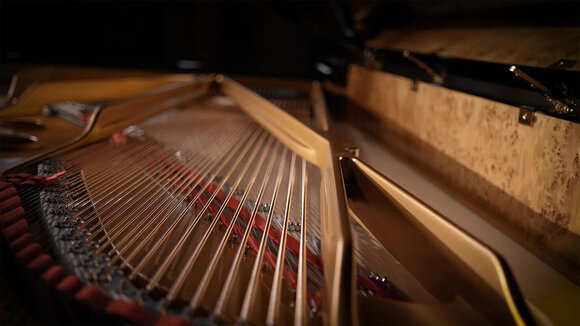 VST Instrument Vienna Symphonic Library Synchron Fazioli F308 Standard (Digitalni proizvod) - 7