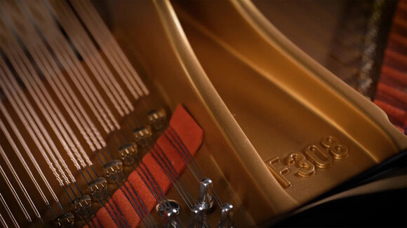 VST Instrument Vienna Symphonic Library Synchron Fazioli F308 Standard (Digitalni proizvod) - 9