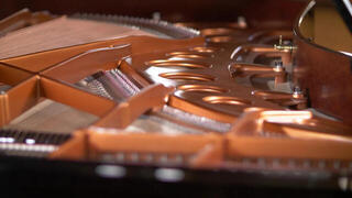 VST Instrument Vienna Symphonic Library Synchron Bösendorfer Imperial Standard (Digitalni izdelek) - 4