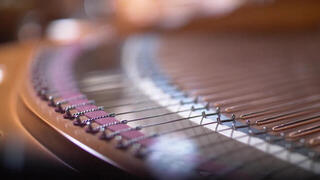 VST Instrument Vienna Symphonic Library Synchron Bösendorfer Imperial Standard (Digitalni izdelek) - 5