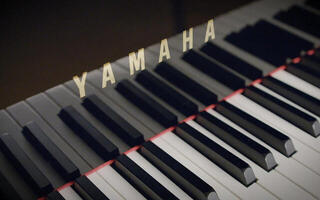 VST Instrument Vienna Symphonic Library Synchron Yamaha CFX Standard (Digitalni izdelek) - 4