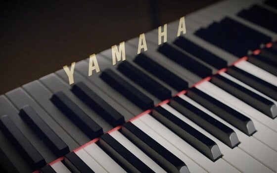 VST Instrument Vienna Symphonic Library Synchron Yamaha CFX Standard (Digitalni izdelek) - 5