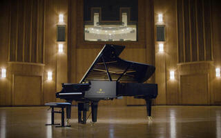 VST Instrument Vienna Symphonic Library Synchron Yamaha CFX Standard (Digitalni izdelek) - 5