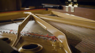 VST Instrument Vienna Symphonic Library Synchron Yamaha CFX Standard (Digitalni izdelek) - 7