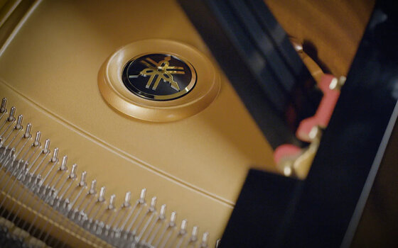 VST Instrument Vienna Symphonic Library Synchron Yamaha CFX Standard (Digitalni izdelek) - 9