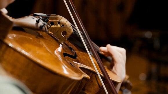 VST Instrument Vienna Symphonic Library Synchron Solo Viola Standard (Дигитален продукт) - 10