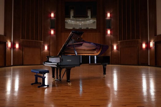 VST Instrument Vienna Symphonic Library Fazioli F308 Essentials (Digitální produkt) - 5