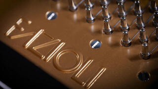 VST Instrument Vienna Symphonic Library Fazioli F308 Essentials (Digitalni izdelek) - 5