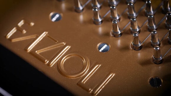 VST Instrument Vienna Symphonic Library Fazioli F308 Essentials (Digitální produkt) - 6