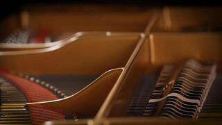 VST Instrument Vienna Symphonic Library Fazioli F308 Essentials (Digitalni izdelek) - 6