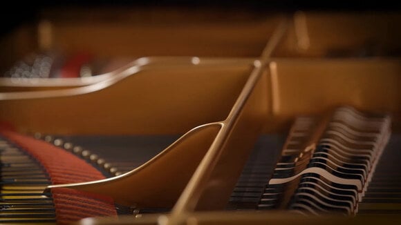 VST Instrument Vienna Symphonic Library Fazioli F308 Essentials (Digitální produkt) - 7