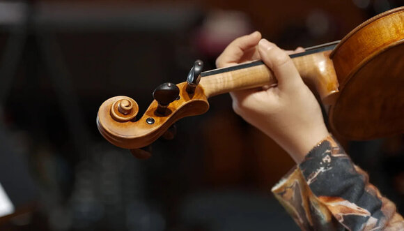 VST Instrument Vienna Symphonic Library Synchron Solo Violin 1 Standard (Producto digital) - 9