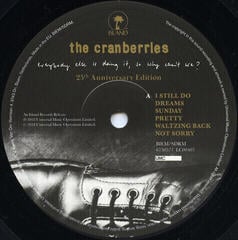 Vinilinė plokštelė The Cranberries Everybody Else Is Doing It, So Why Can't We (Vinyl LP) - 7