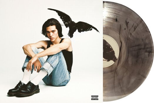 LP Conan Gray - Kid Krow (Smoky Gray Coloured) (LP) - 2
