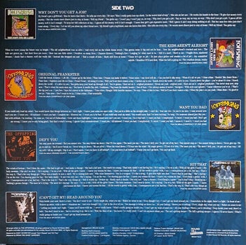 LP ploča The Offspring - Greatest Hits (LP) - 7